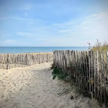 L'oasis Des Pins Kemping Sète